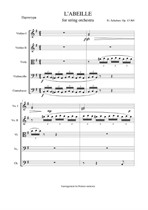 The bee (Arrangement for string orchestra)