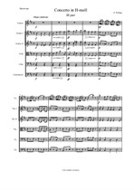 O. Riding Concerto in h-moll (3 part)
